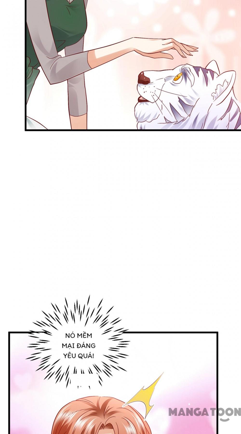 Hào Môn Thiên Giới Tiền Thê Chap 714 - Next Chap 715