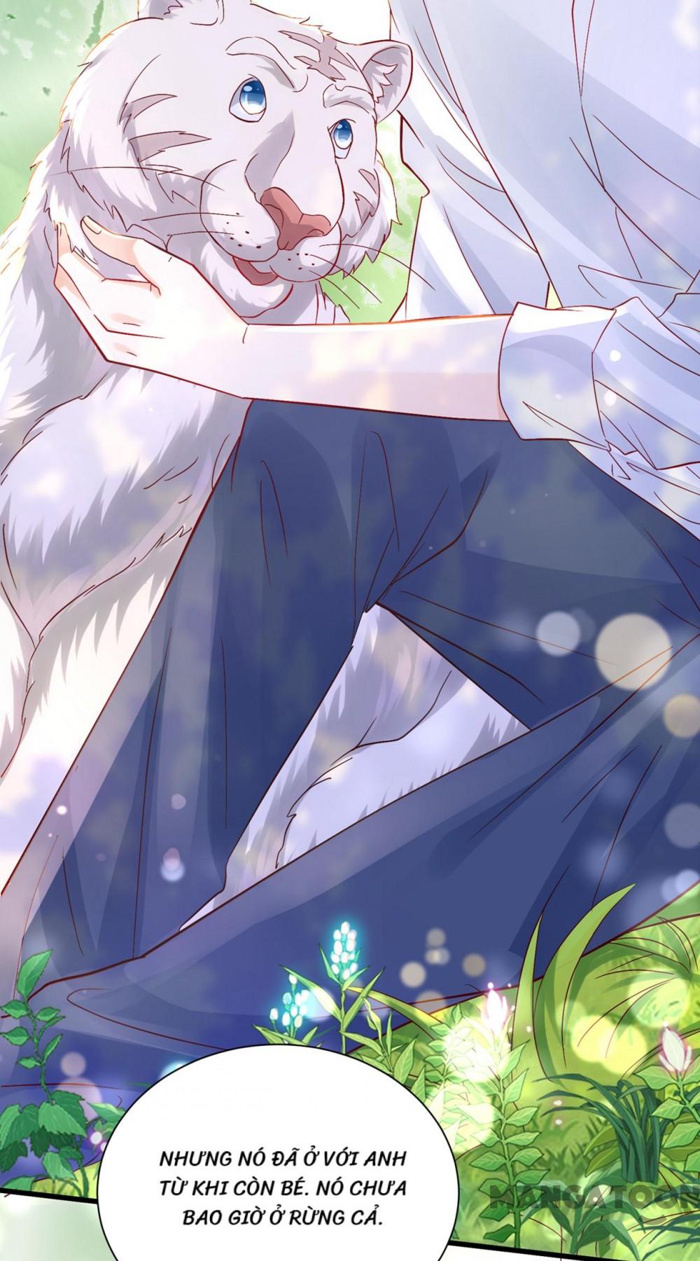 Hào Môn Thiên Giới Tiền Thê Chap 715 - Next Chap 716