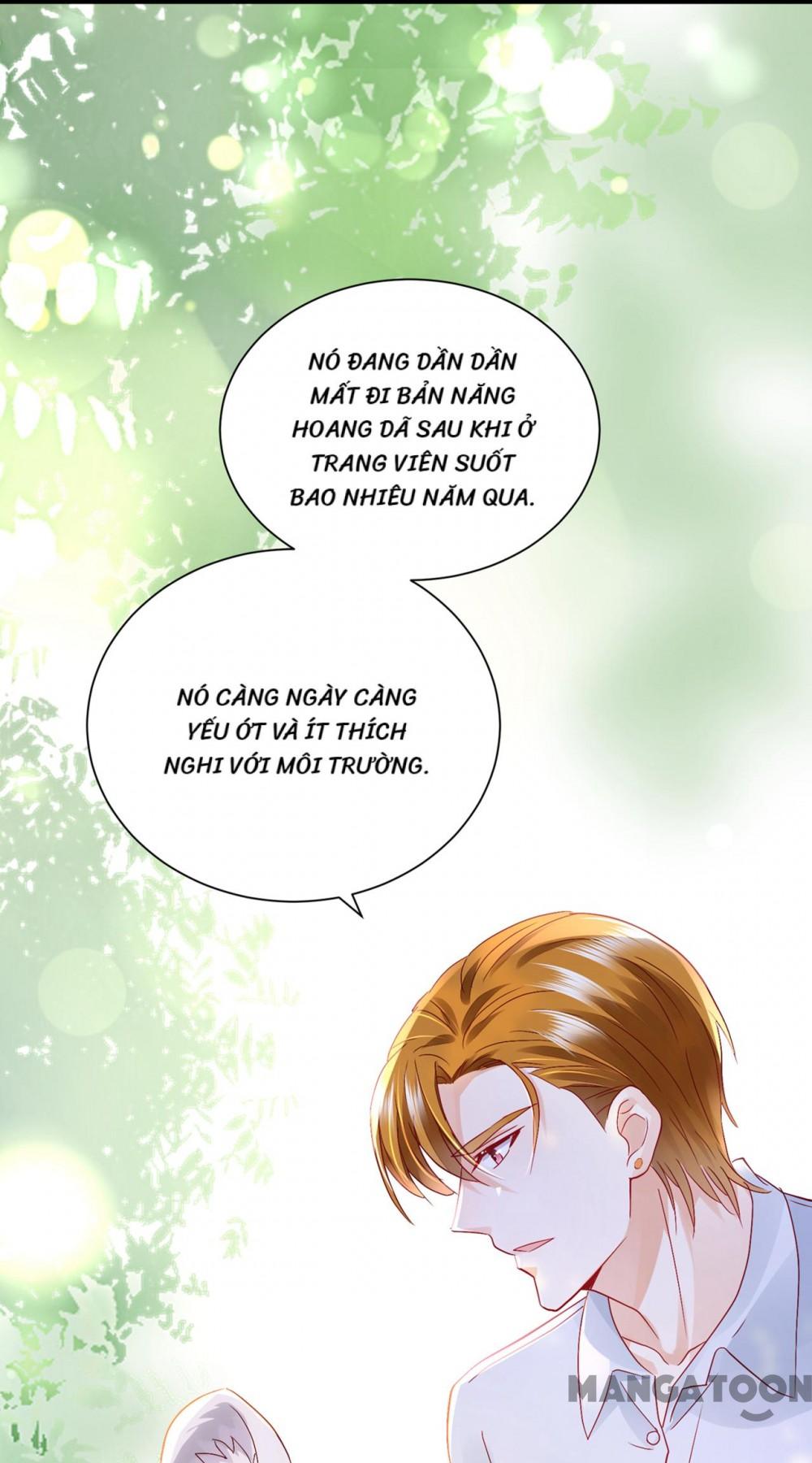 Hào Môn Thiên Giới Tiền Thê Chap 715 - Next Chap 716