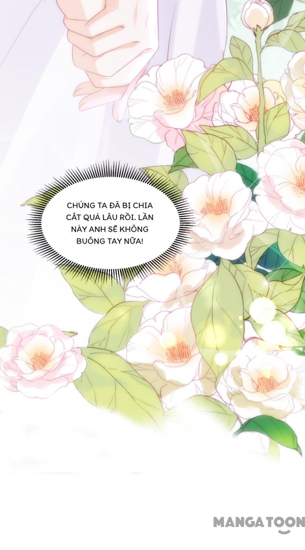 Hào Môn Thiên Giới Tiền Thê Chap 764 - Next Chap 765