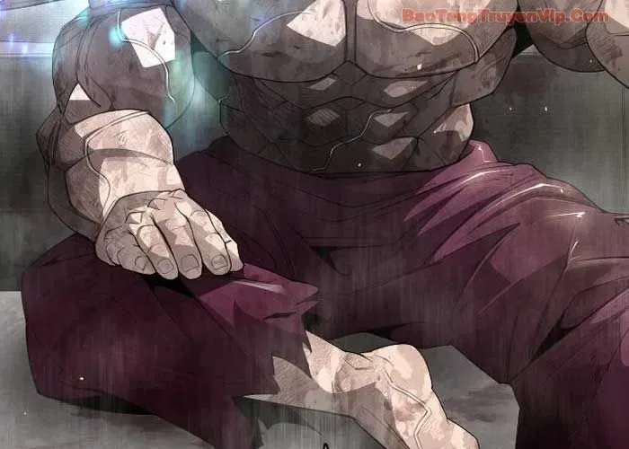 Kỷ Nguyên Siêu Anh Hùng Chap 209 - Next Chap 210