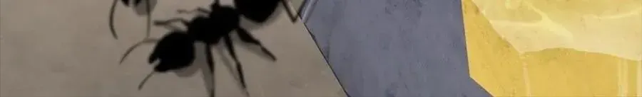 Câu Chuyện Sinh Tồn Của Kiếm Vương Ở Thế Giới Khác Chap 55 - Next Chap 56