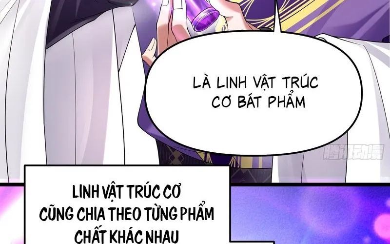 Kim Đan To Bằng Hằng Tinh! Ngươi Gọi Đây Mà Là Tu Tiên Á?! Chap 5 - Next Chap 6