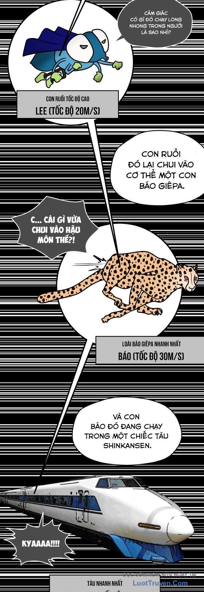 Thiếu Nữ Vượt Thời Gian Chap 4 - Next Chap 5