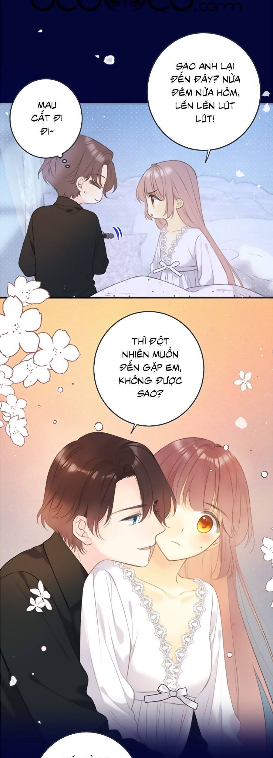 Lâu Tiểu Thư, Lại Gặp Nhau Rồi Chap 94 - Next Chap 95