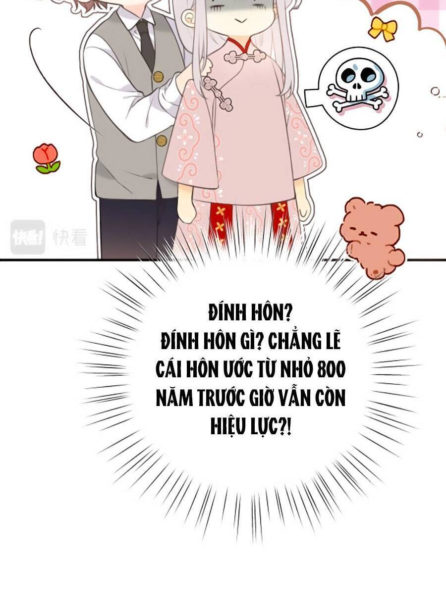 Lâu Tiểu Thư, Lại Gặp Nhau Rồi Chap 94 - Next Chap 95