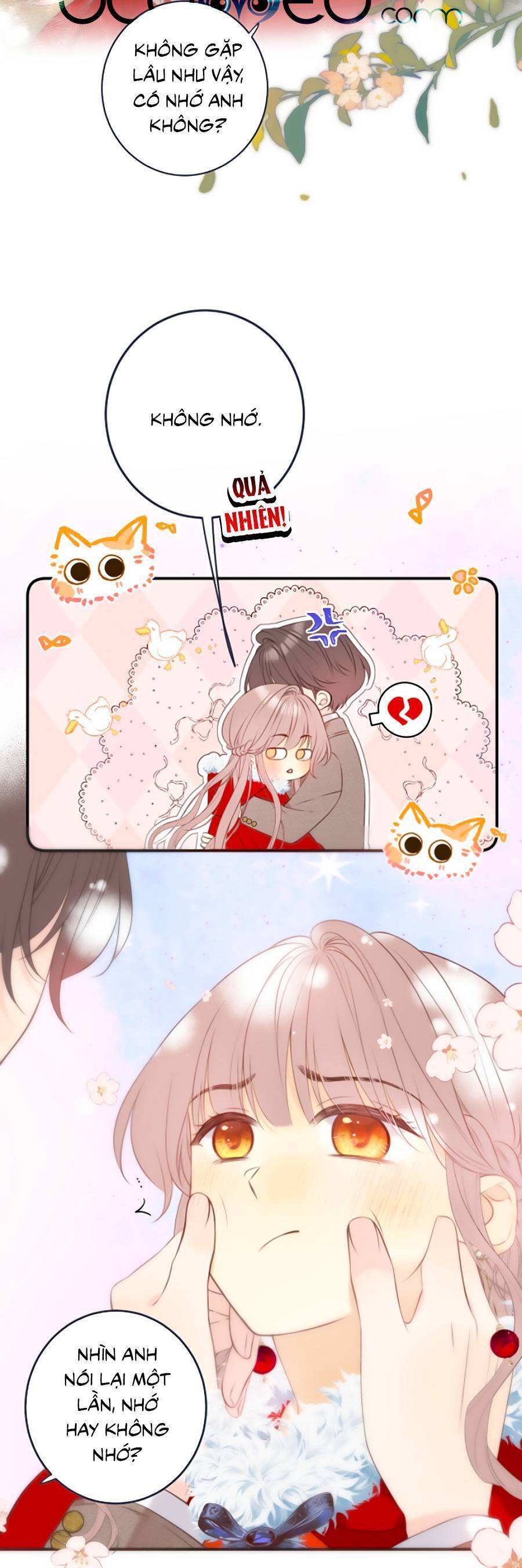 Lâu Tiểu Thư, Lại Gặp Nhau Rồi Chap 96 - Next Chap 97