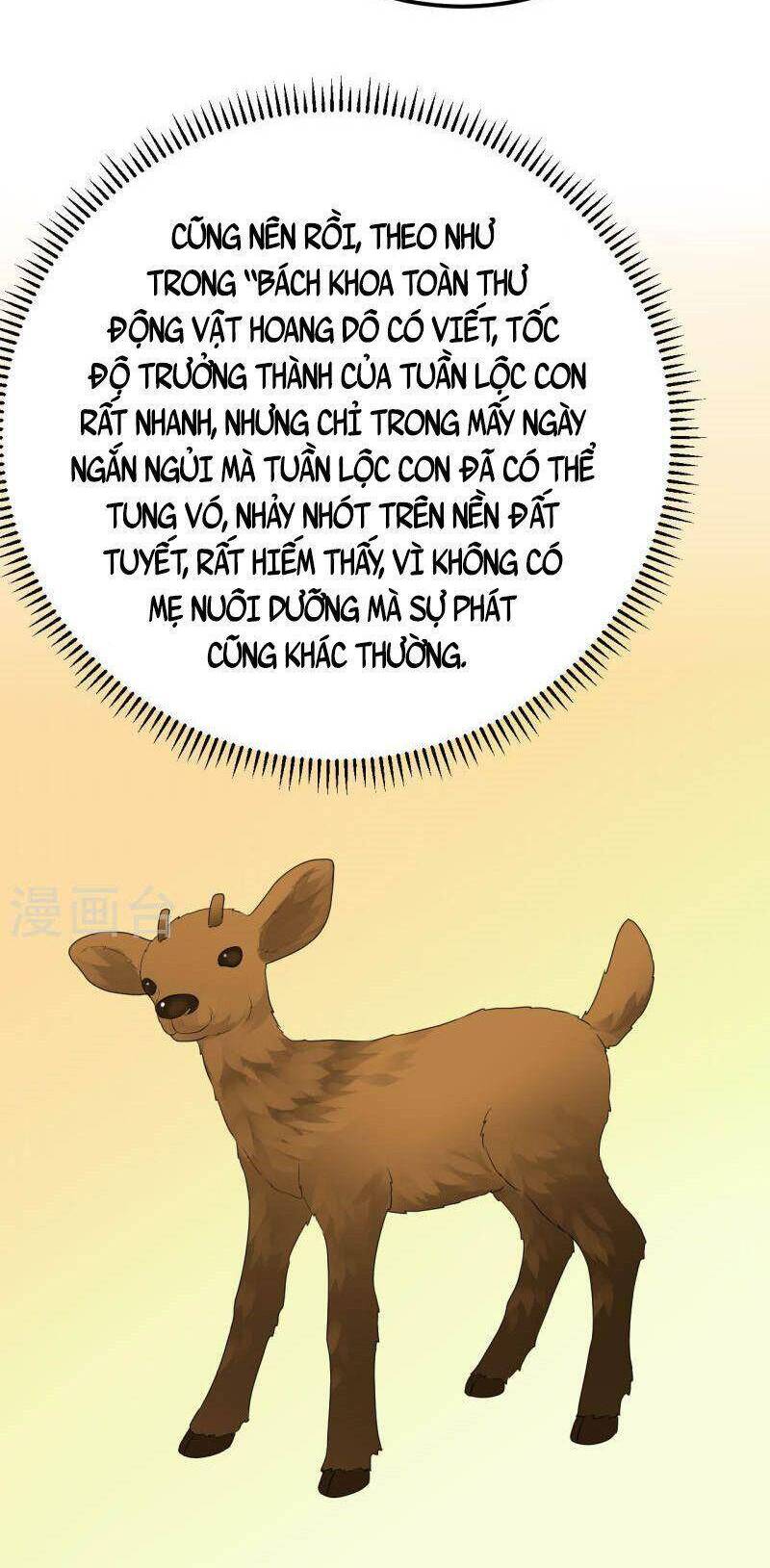 Tôi Sống Trên Hoang Đảo Cùng Các Em Gái Chap 231 - Next Chap 232