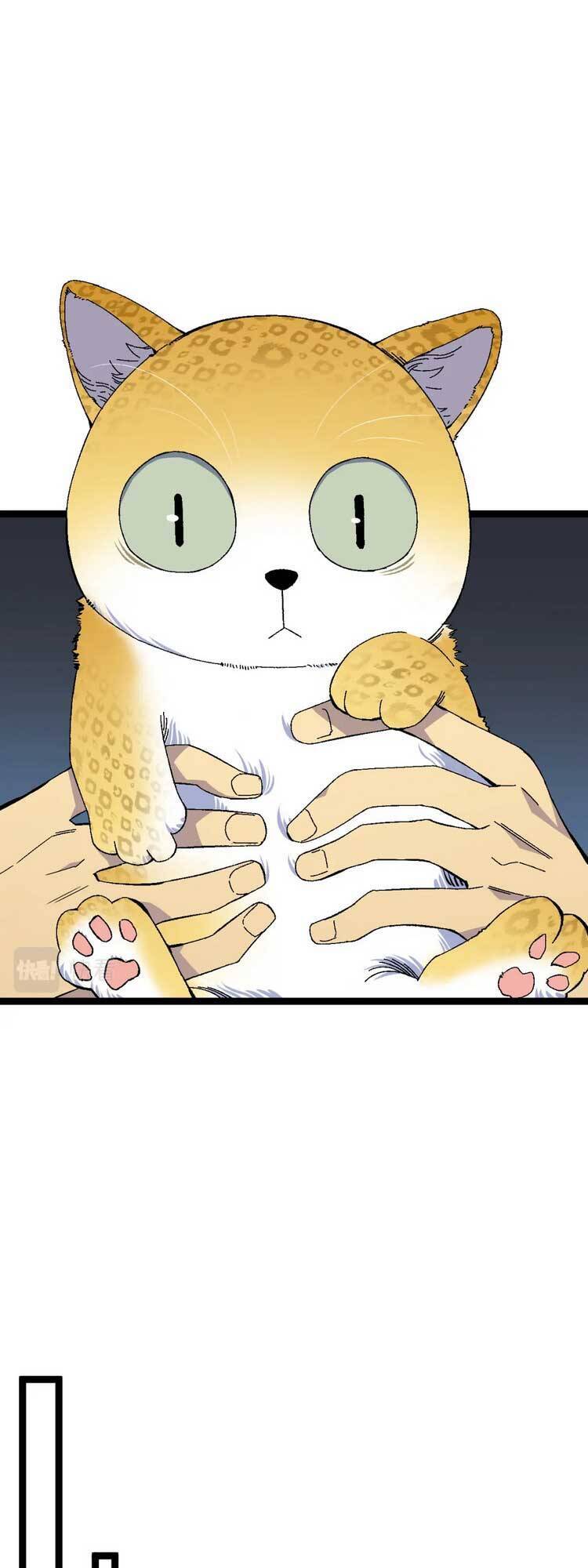 Thiên Phú Của Ngươi, Giờ Là Của Ta Chap 46 - Next Chap 47