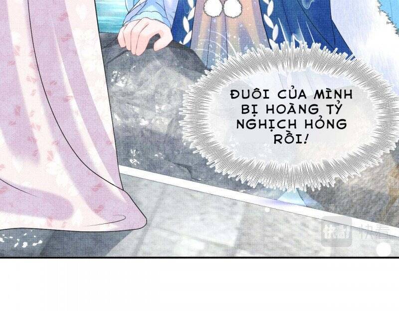 Nhóc Con Người Cá 3 Tuổi Rồi Chap 269 - Next Chap 270