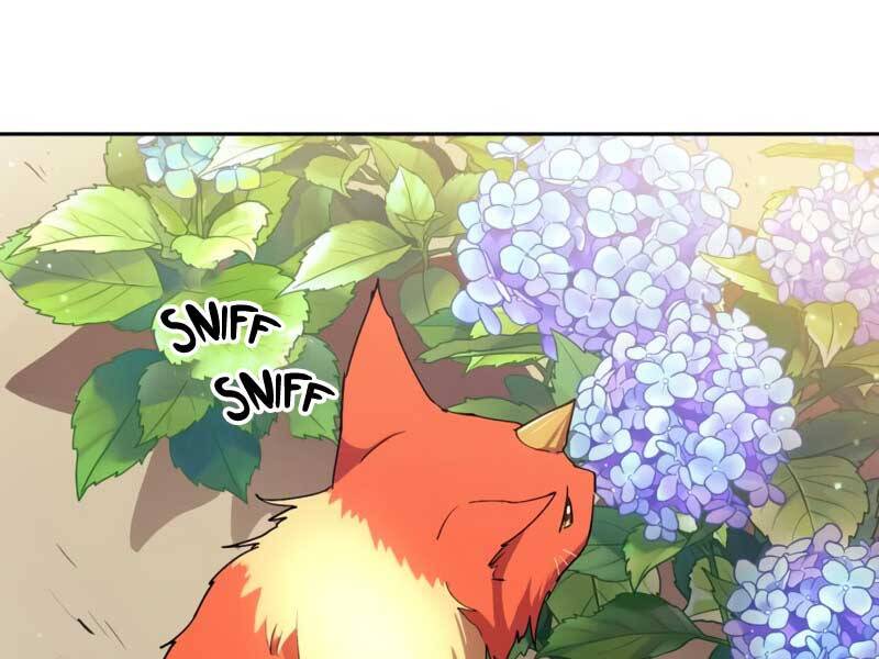 Những Ranker Cấp S Mà Tôi Nuôi Dưỡng Chap 46 - Next Chap 47