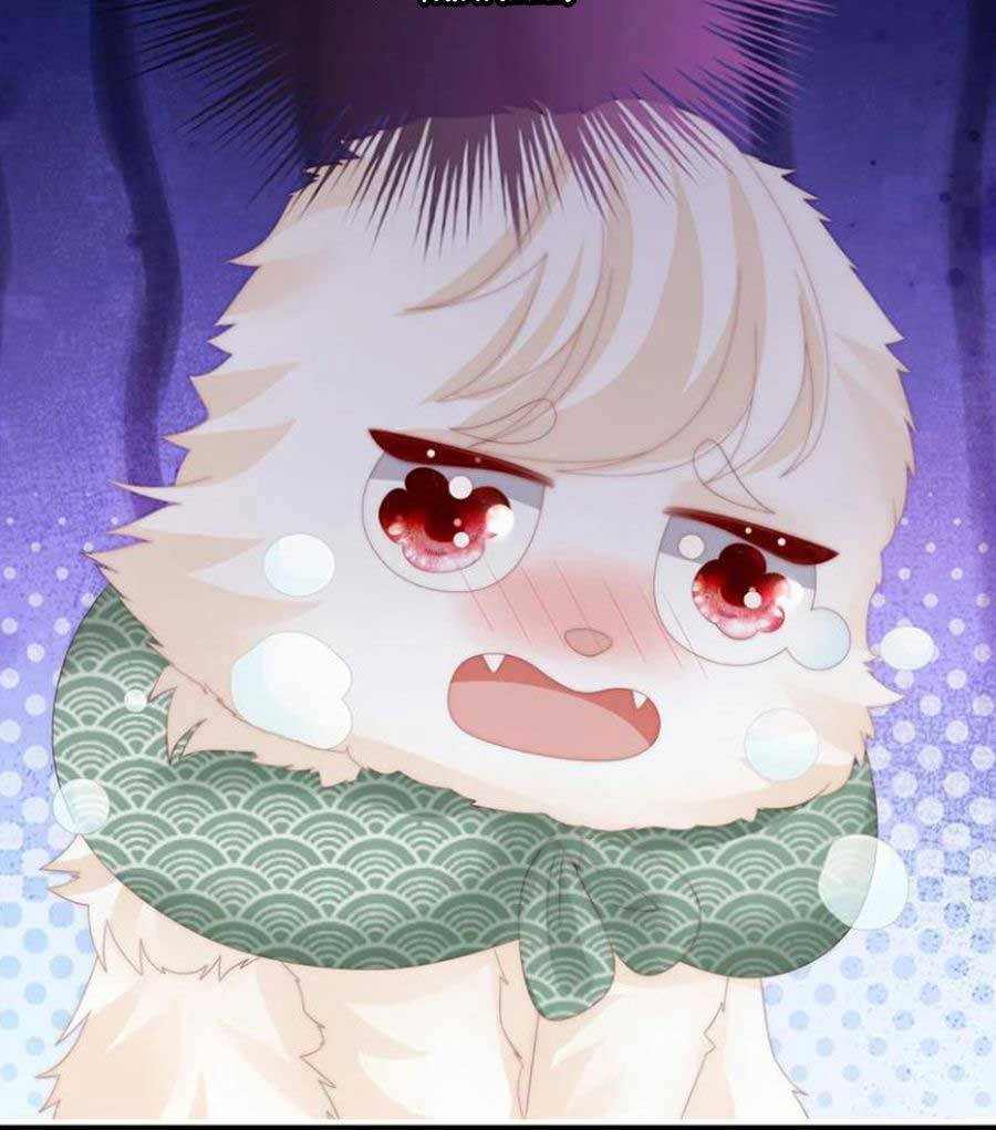 Thê Chủ, Thỉnh Hưởng Dụng Chap 72 - Next Chap 73