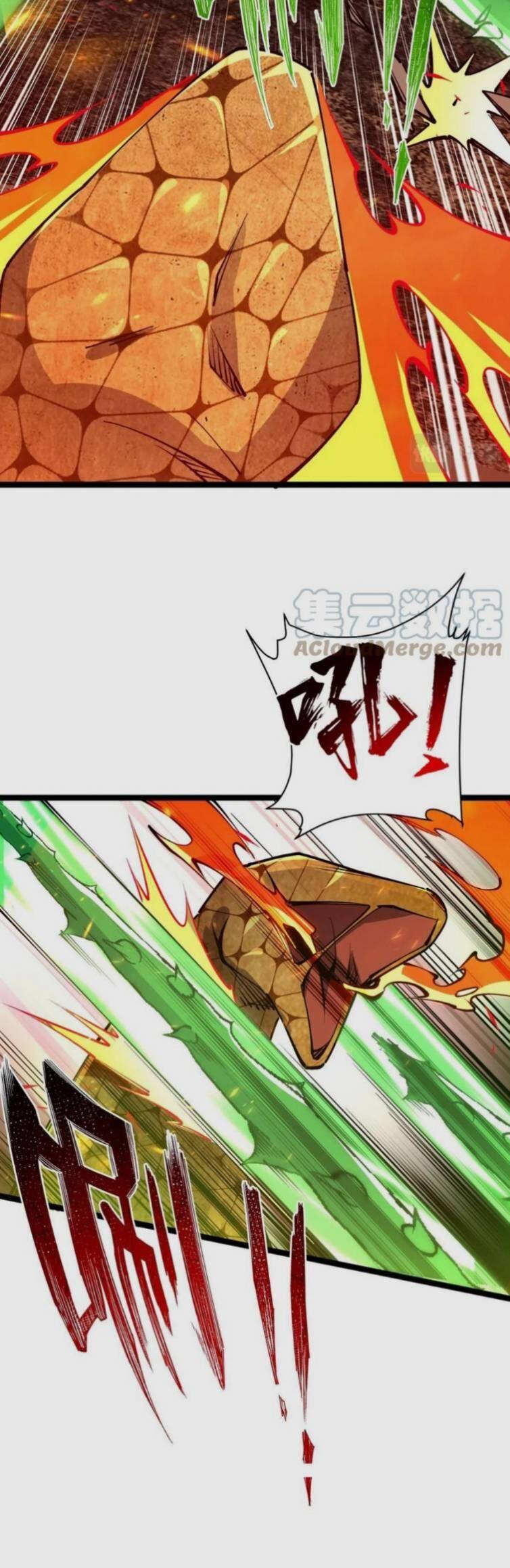 Toàn Thuộc Tính Võ Đạo Chap 21 - Next Chap 22