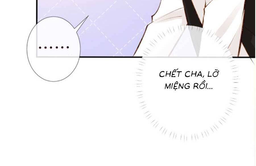 Ôm Khẩn Tiểu Mã Giáp Của Tôi Chap 113 - Next Chap 114