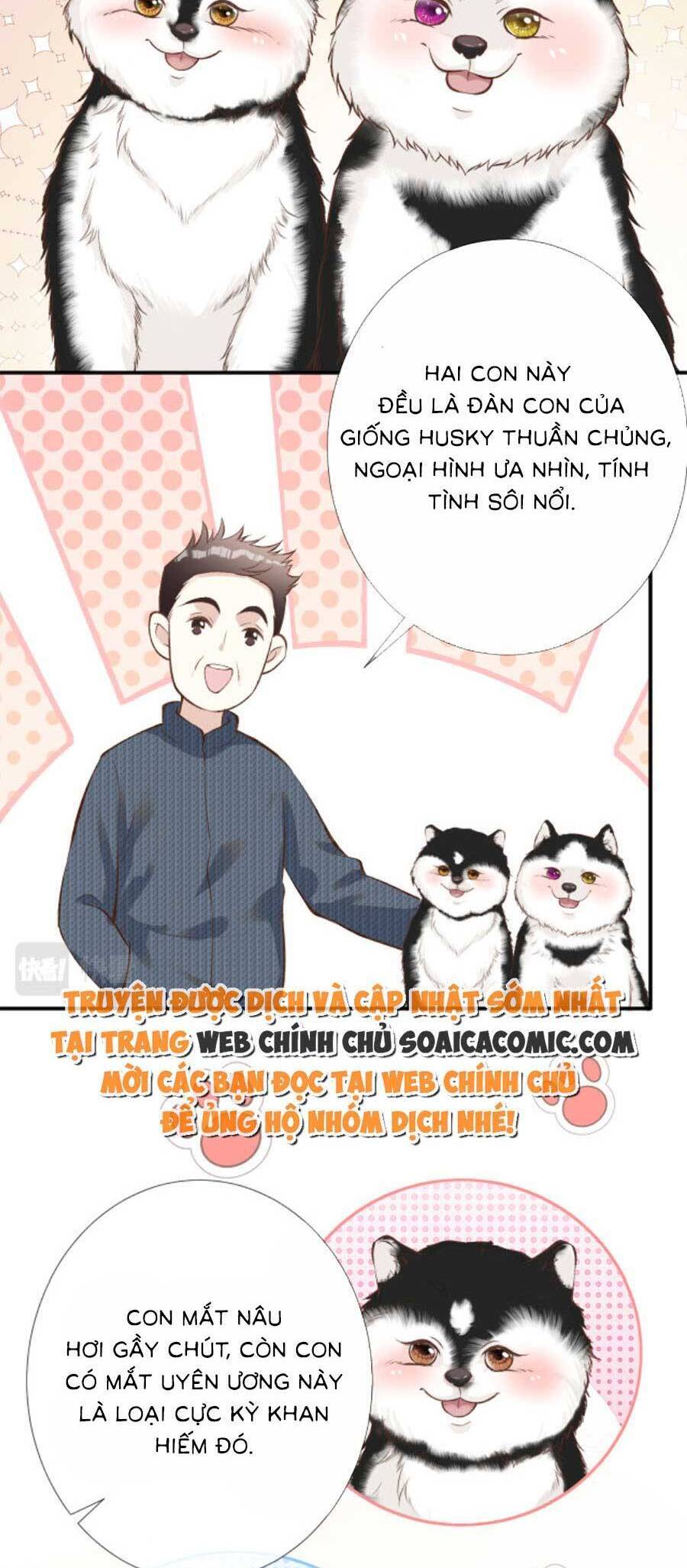 Ôm Khẩn Tiểu Mã Giáp Của Tôi Chap 155 - Next Chap 156