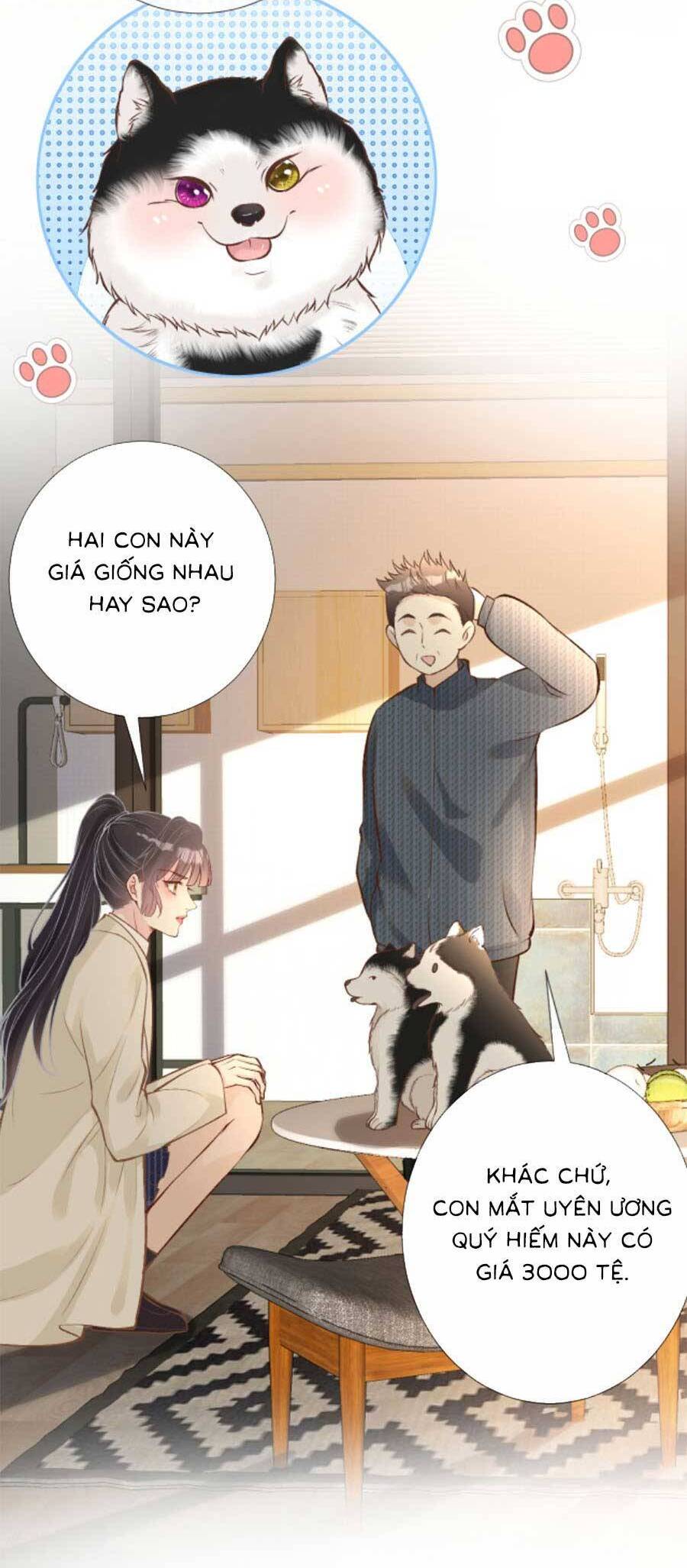 Ôm Khẩn Tiểu Mã Giáp Của Tôi Chap 155 - Next Chap 156