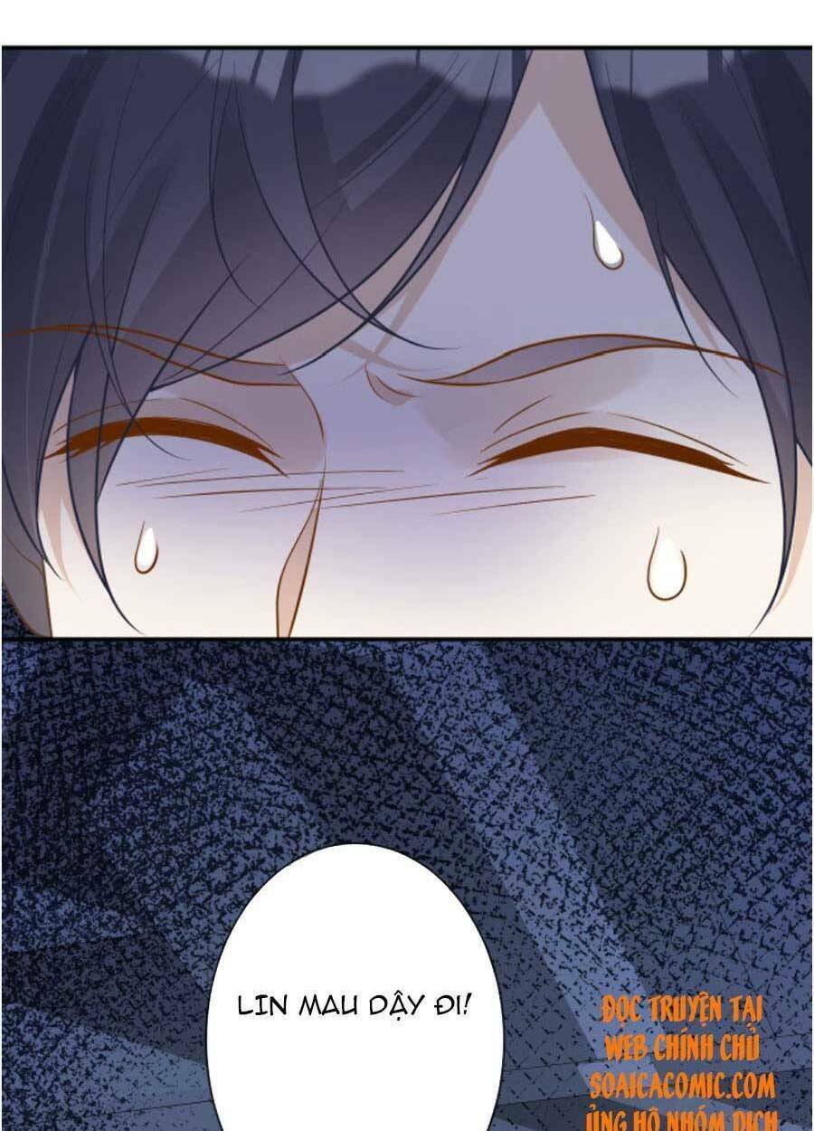 Ôm Khẩn Tiểu Mã Giáp Của Tôi Chap 75 - Next Chap 76