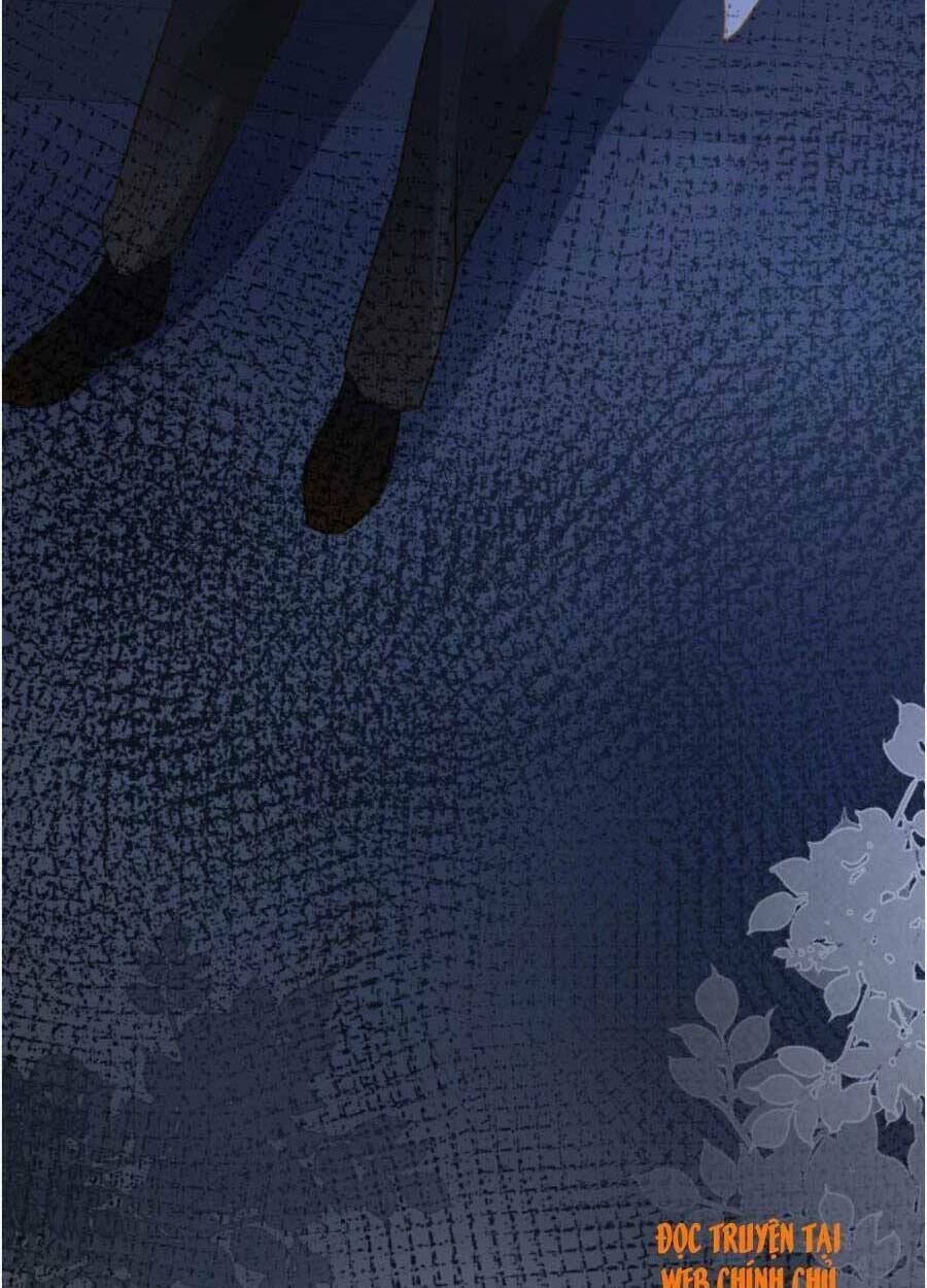 Ôm Khẩn Tiểu Mã Giáp Của Tôi Chap 75 - Next Chap 76