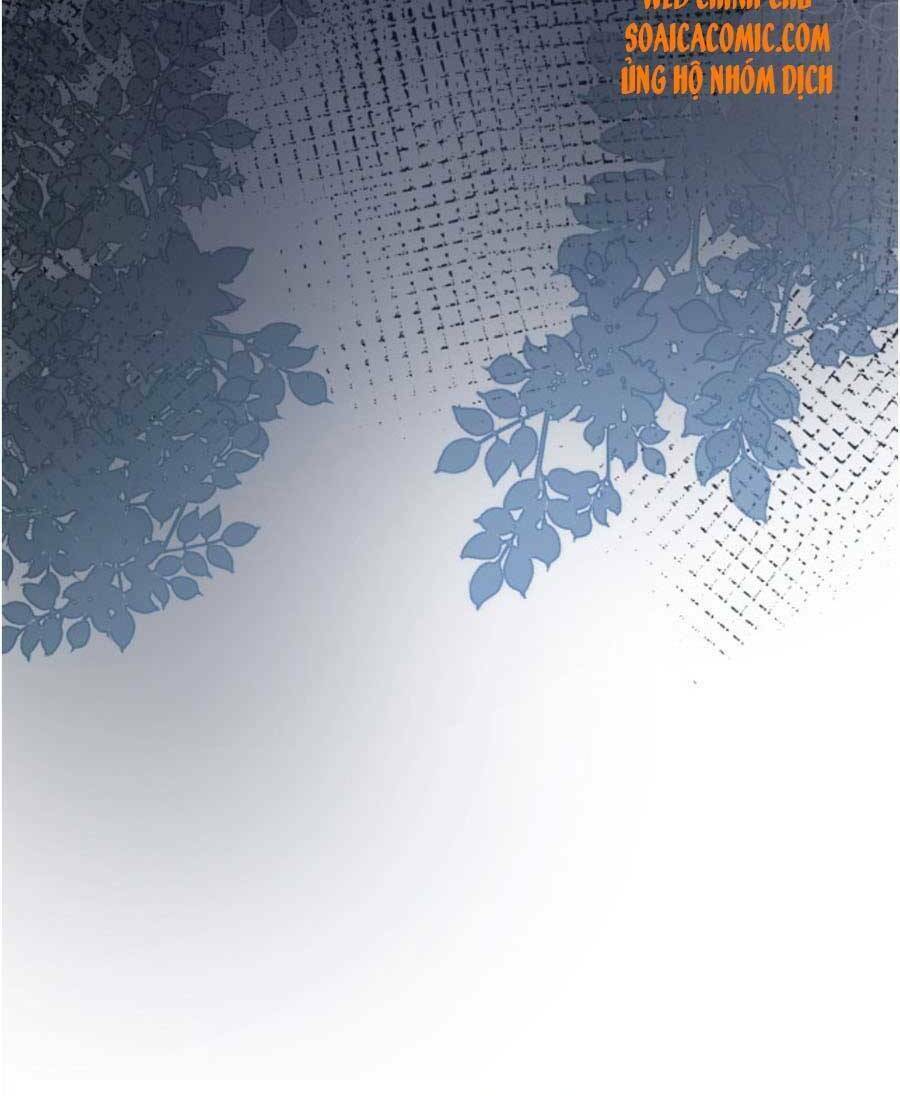 Ôm Khẩn Tiểu Mã Giáp Của Tôi Chap 75 - Next Chap 76