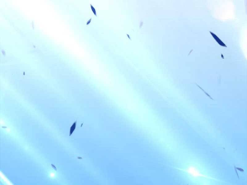 Gậy Gỗ Cấp 99+ Chap 23 - Next Chap 24