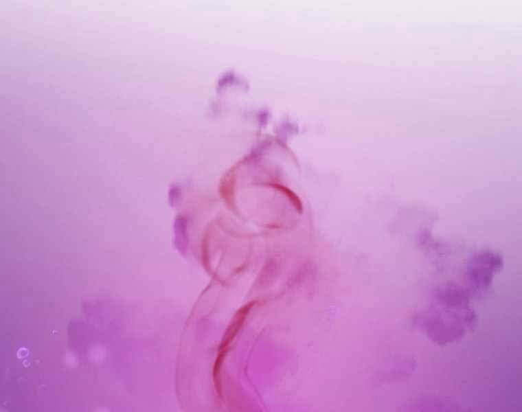 Hầm Ngục Toà Tháp Đảo Ngược Chap 6 - Next Chap 7