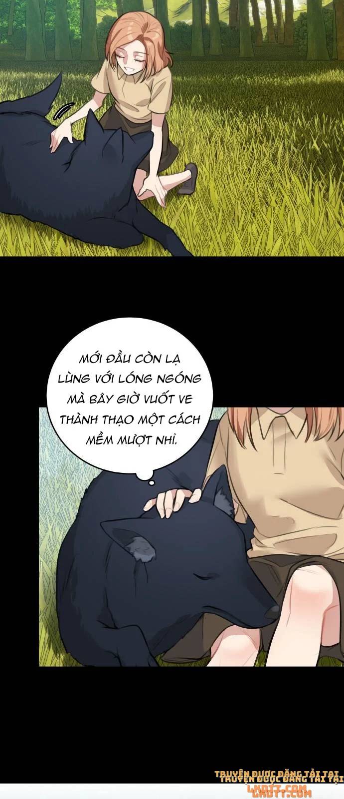 Nhật Ký Tuần Trăng Mật Của Phù Thủy Và Rồng Chap 14 - Next Chap 15