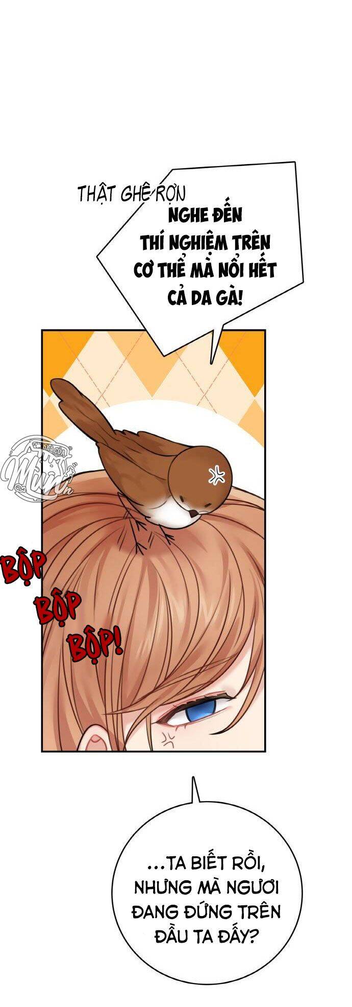 Nhật Ký Tuần Trăng Mật Của Phù Thủy Và Rồng Chap 48 - Next Chap 49