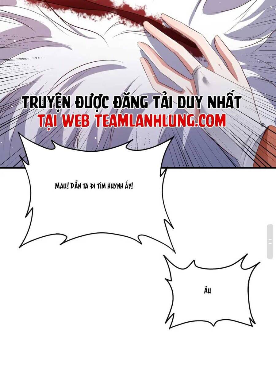 Trùng Sinh Sống Lại ! Các Hoàng Tử Ai Cũng Muốn Cưới Ta ! Chap 48 - Next Chap 49