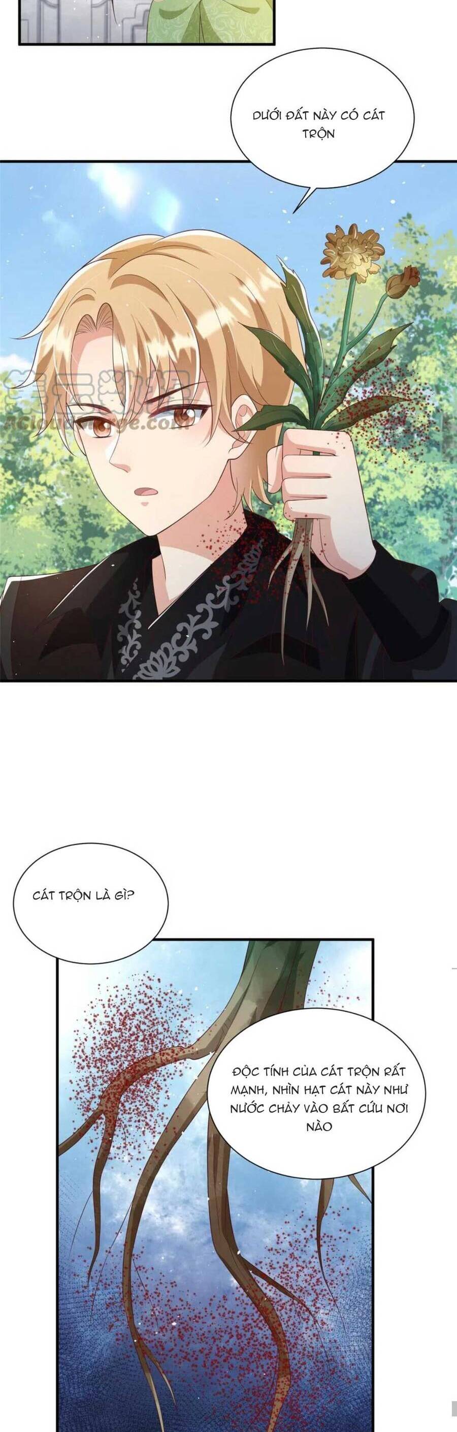 Trùng Sinh Sống Lại ! Các Hoàng Tử Ai Cũng Muốn Cưới Ta ! Chap 64 - Next Chap 65