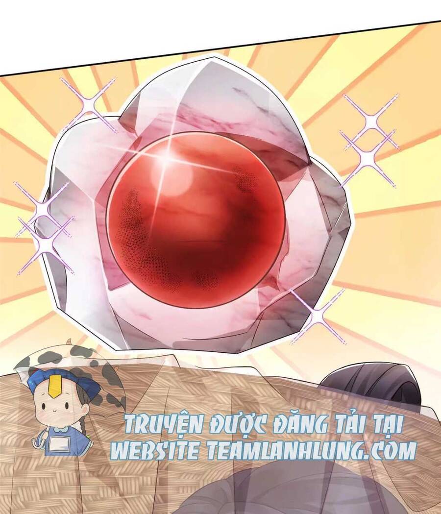 Trùng Sinh Sống Lại ! Các Hoàng Tử Ai Cũng Muốn Cưới Ta ! Chap 12 - Next Chap 13