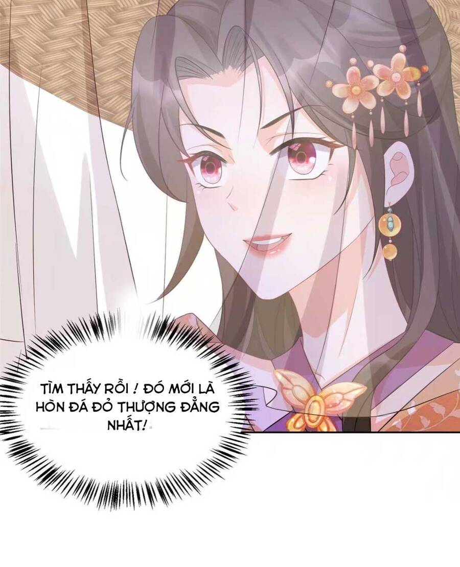 Trùng Sinh Sống Lại ! Các Hoàng Tử Ai Cũng Muốn Cưới Ta ! Chap 12 - Next Chap 13