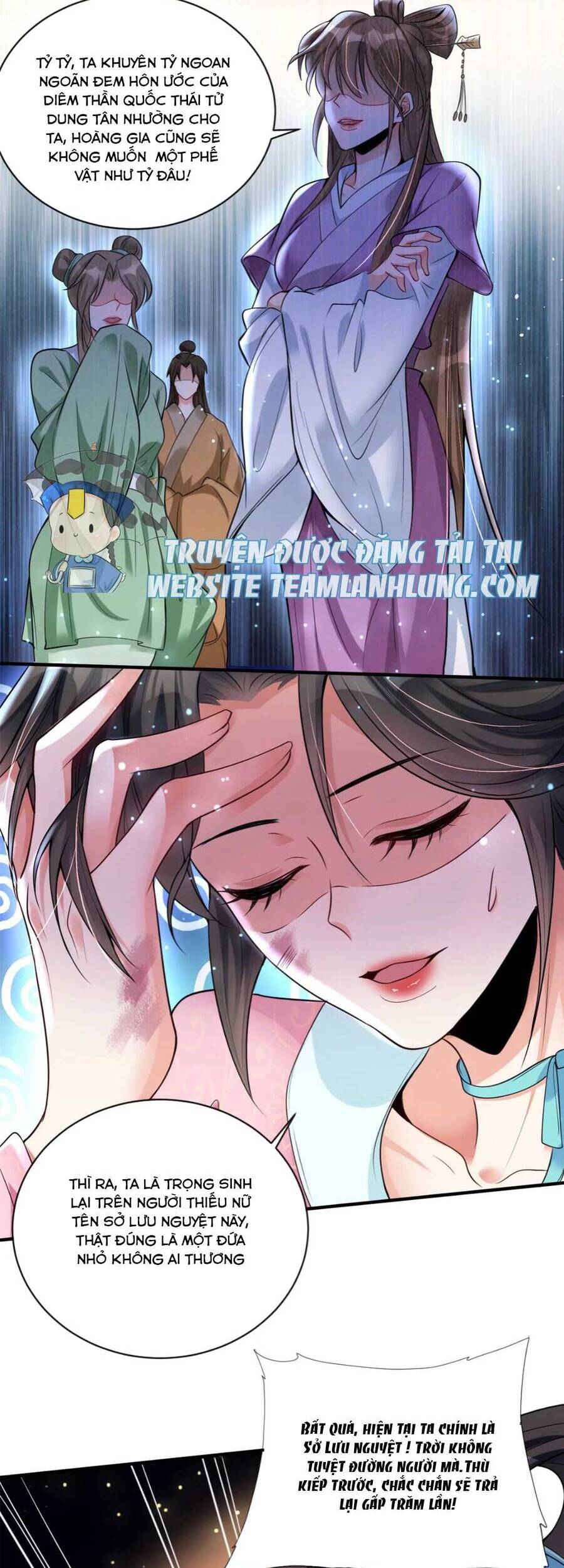 Trùng Sinh Sống Lại ! Các Hoàng Tử Ai Cũng Muốn Cưới Ta ! Chap 2 - Next Chap 3