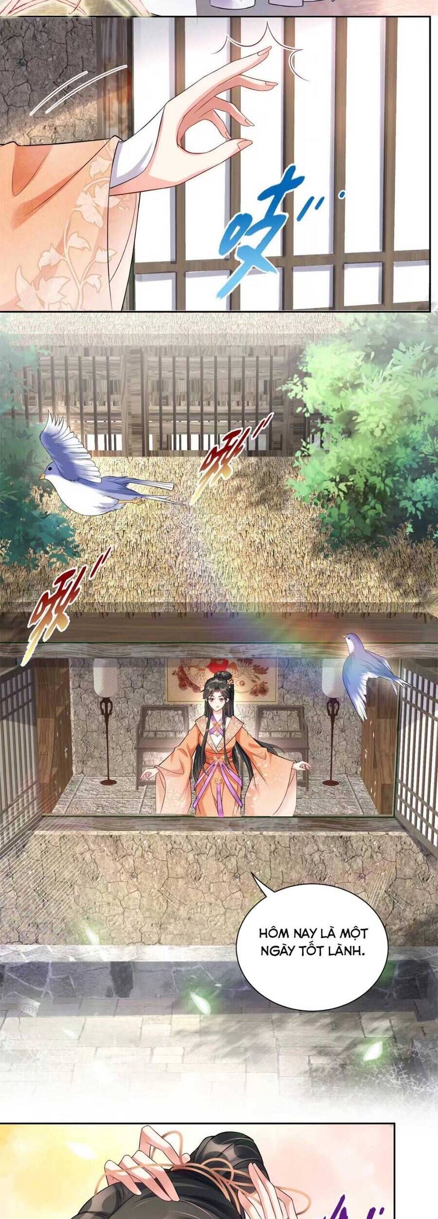 Trùng Sinh Sống Lại ! Các Hoàng Tử Ai Cũng Muốn Cưới Ta ! Chap 7 - Next Chap 8