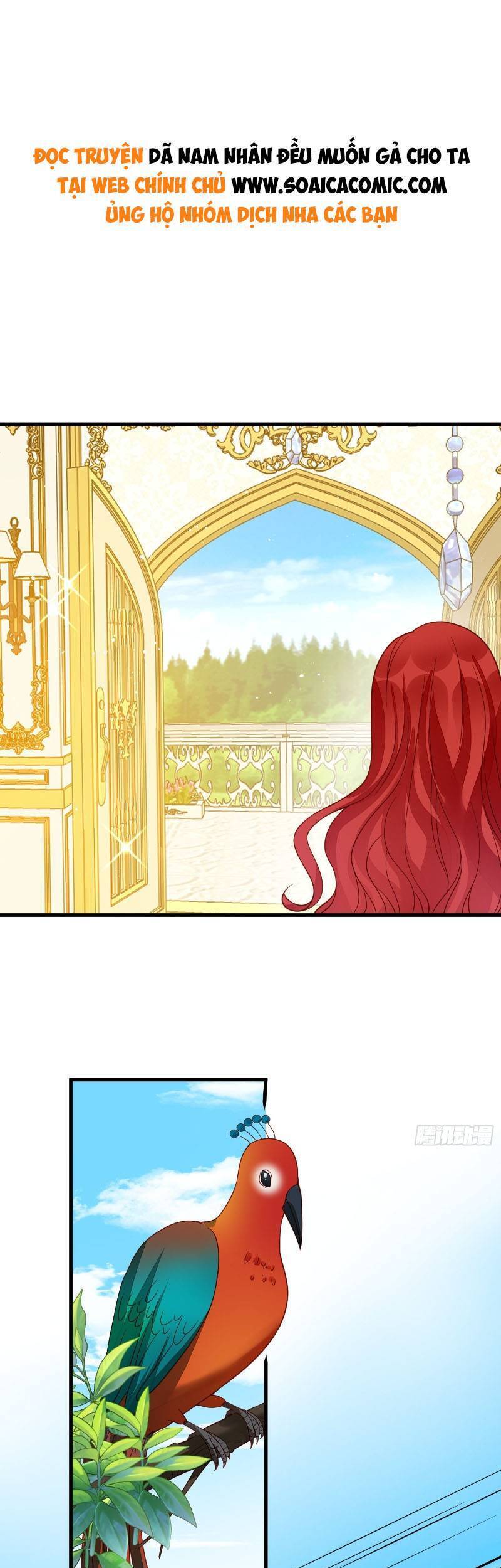 Dã Nam Nhân Đều Muốn Gả Cho Ta Chap 39 - Next Chap 40