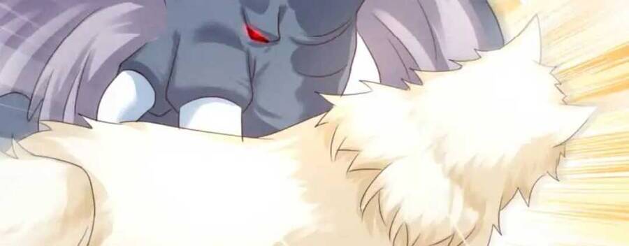 Thần Phi Ngự Thiên Hạ Chap 2 - Next Chap 3