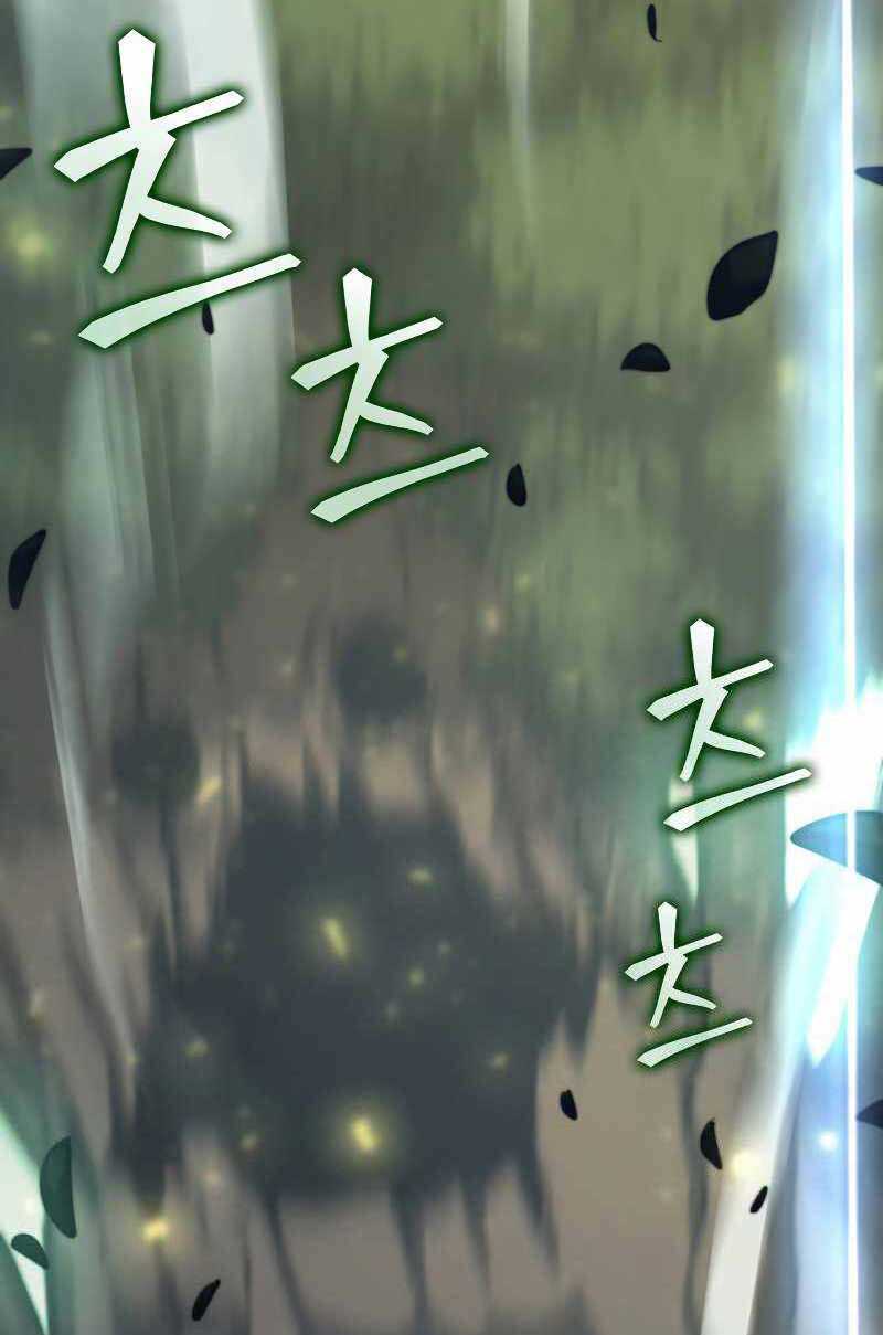 Sự Trở Lại Của Người Chơi Cấp Sss Chap 25 - Next Chap 26