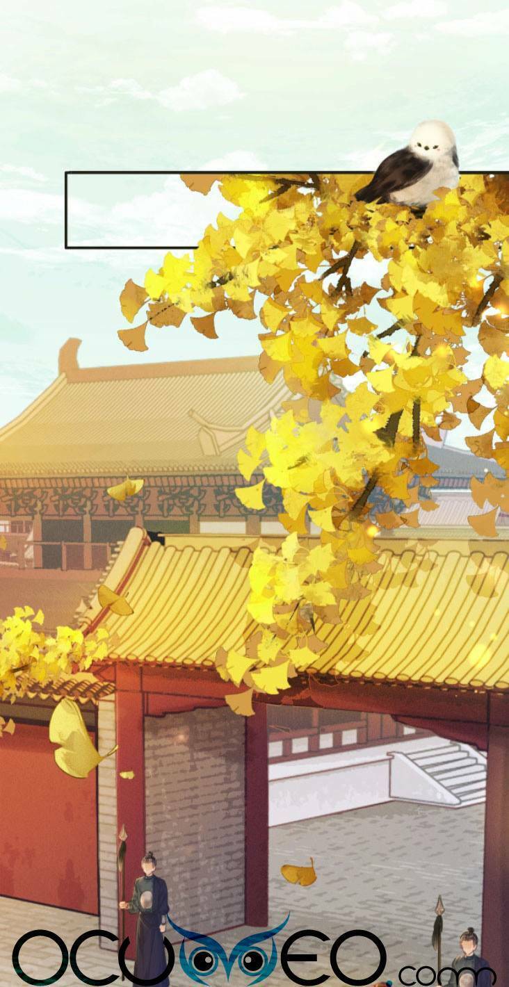 Để Ta Làm Ánh Trăng Đen Của Hôn Quân Chap 1 - Next Chap 2