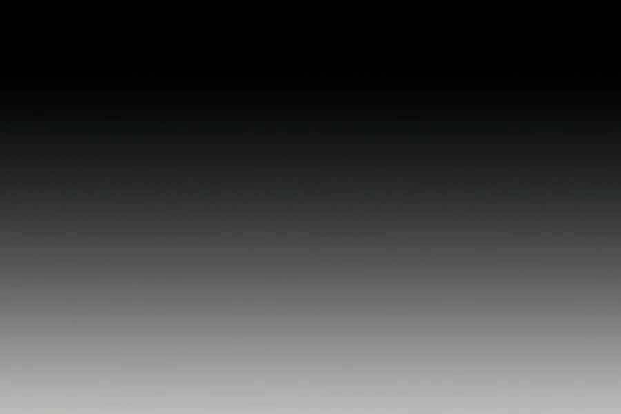 Đi Săn Tự Động Bằng Phân Thân Chap 3 - Next Chap 4