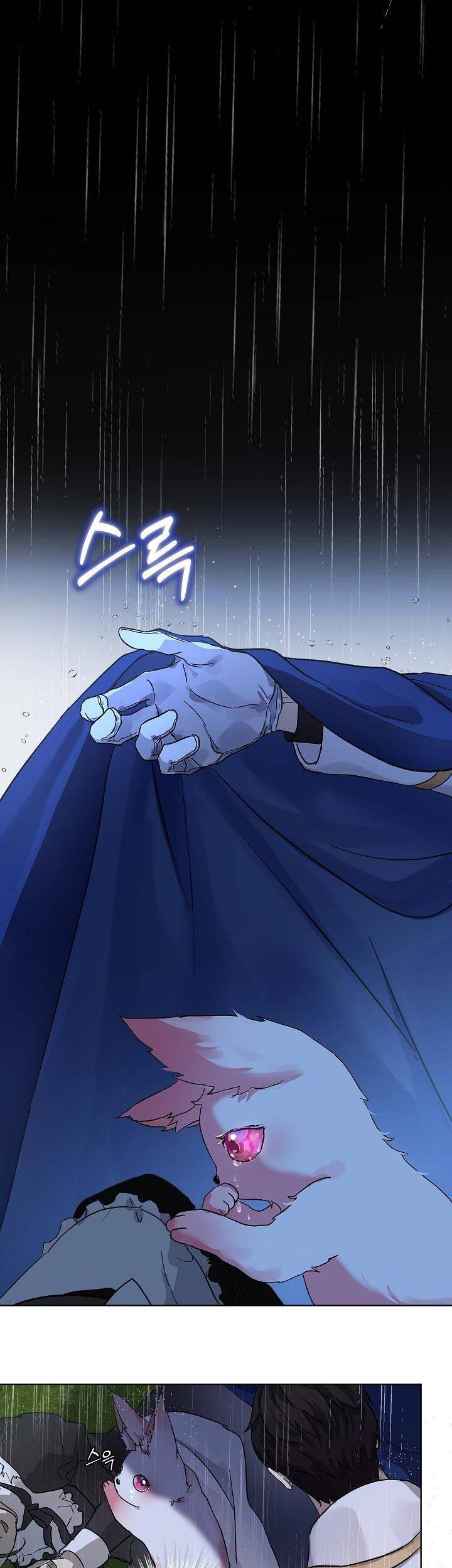 Tôi Đã Tái Sinh Thành Bé Cáo Của Thần Chap 10 - Next Chap 11