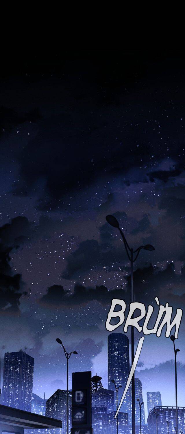 Chấp Sự Thỏ Cụp Tai Chap 1 - Next Chap 2