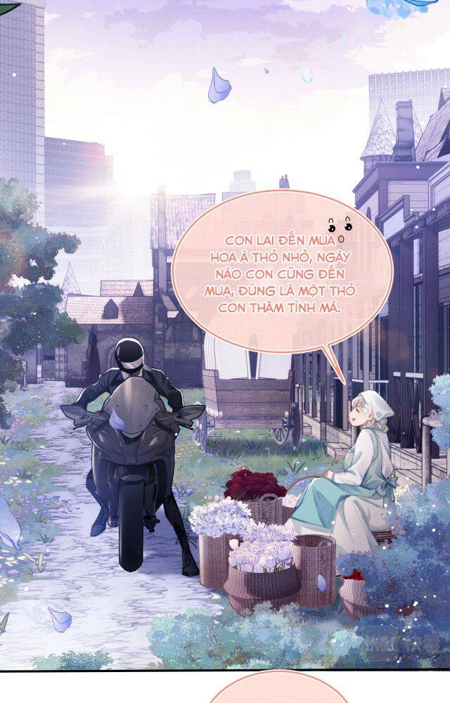 Chấp Sự Thỏ Cụp Tai Chap 1 - Next Chap 2