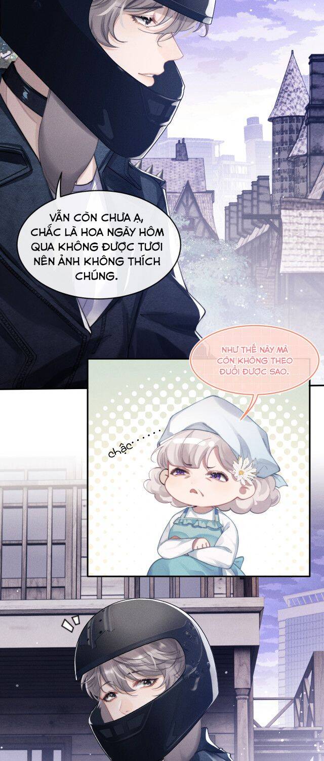 Chấp Sự Thỏ Cụp Tai Chap 1 - Next Chap 2