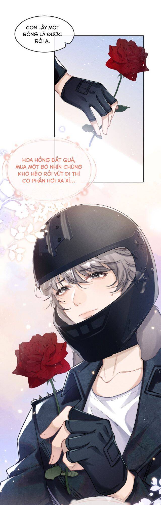 Chấp Sự Thỏ Cụp Tai Chap 1 - Next Chap 2