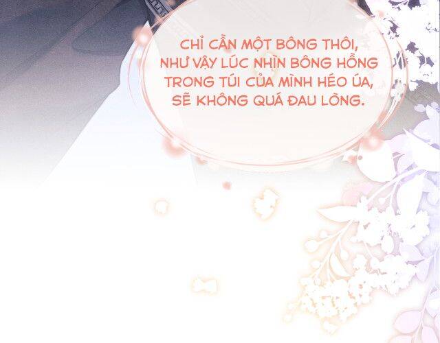 Chấp Sự Thỏ Cụp Tai Chap 1 - Next Chap 2