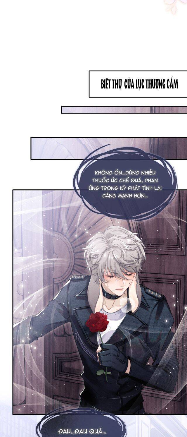 Chấp Sự Thỏ Cụp Tai Chap 1 - Next Chap 2