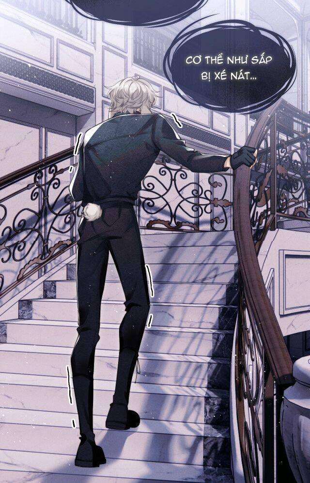 Chấp Sự Thỏ Cụp Tai Chap 1 - Next Chap 2