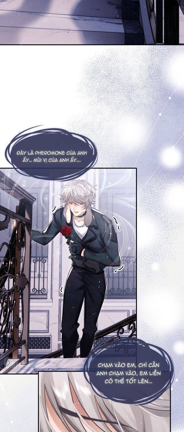 Chấp Sự Thỏ Cụp Tai Chap 1 - Next Chap 2