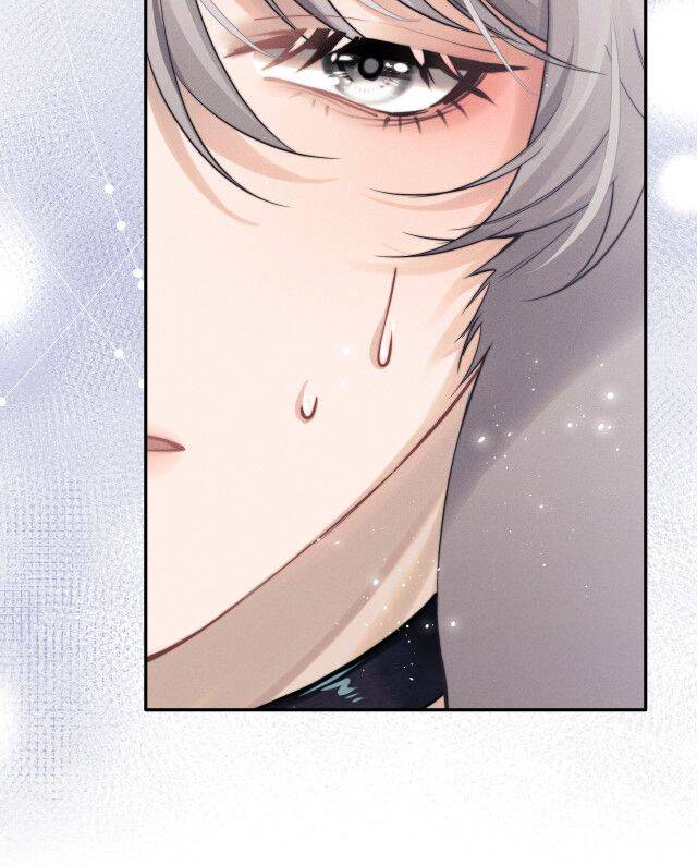 Chấp Sự Thỏ Cụp Tai Chap 1 - Next Chap 2