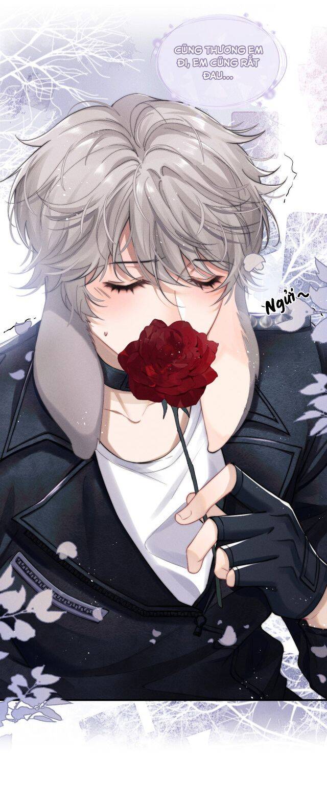 Chấp Sự Thỏ Cụp Tai Chap 1 - Next Chap 2