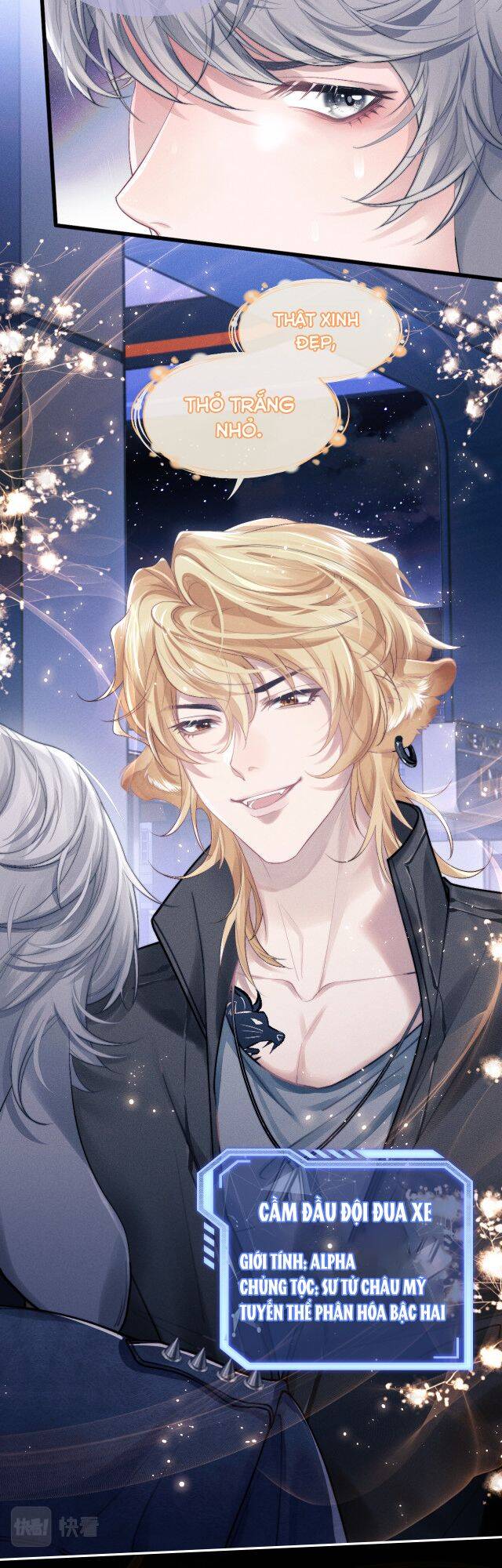 Chấp Sự Thỏ Cụp Tai Chap 1 - Next Chap 2